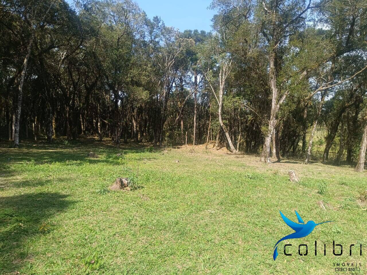 Sítio, 7 quartos, 10000 m² - Foto 16