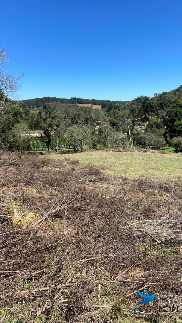 Terreno, 1 hectares - Foto 6