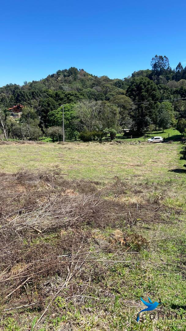 Terreno, 1 hectares - Foto 7