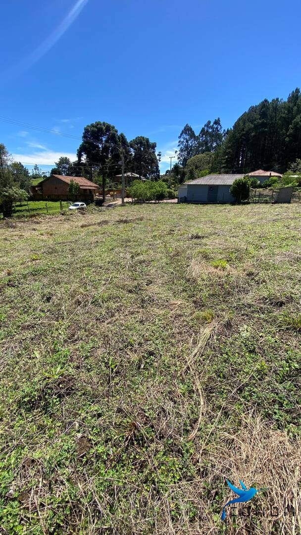 Terreno, 1 hectares - Foto 8