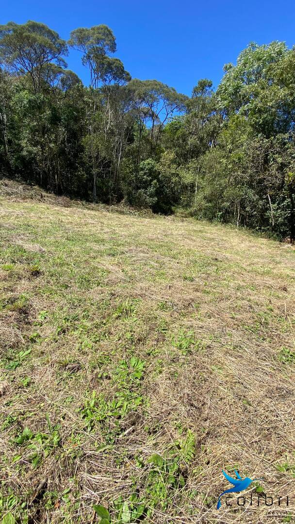 Terreno, 1 hectares - Foto 10