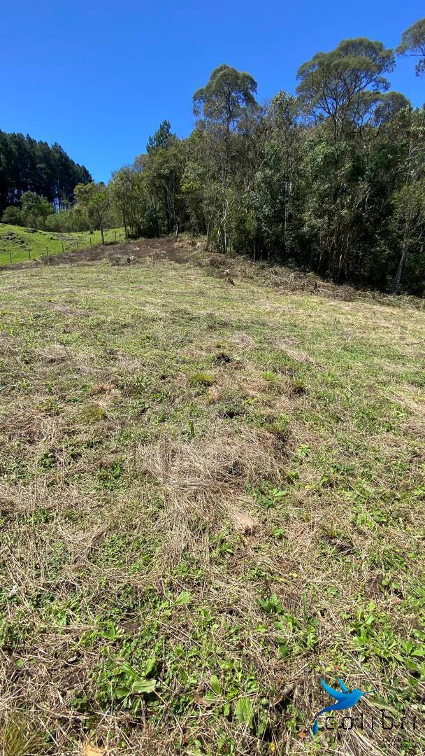 Terreno, 1 hectares - Foto 11