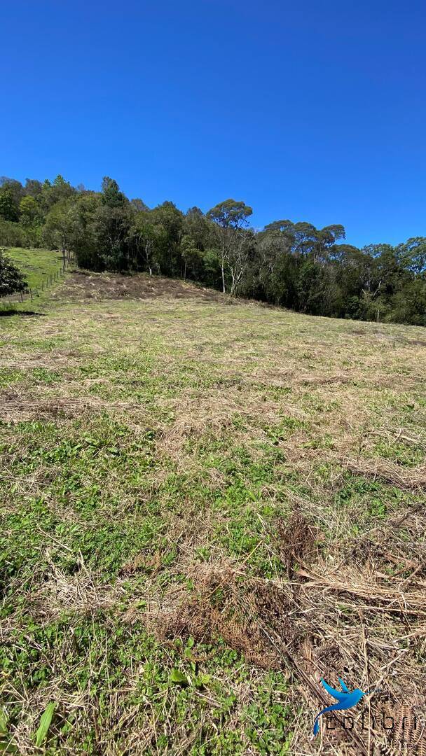 Terreno, 1 hectares - Foto 13