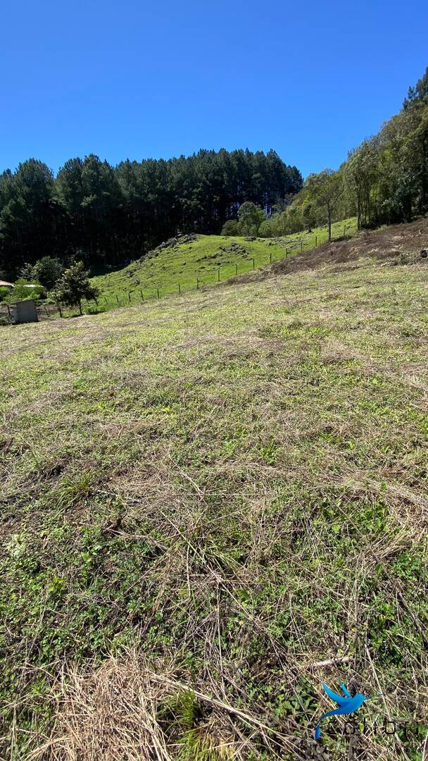 Terreno, 1 hectares - Foto 14