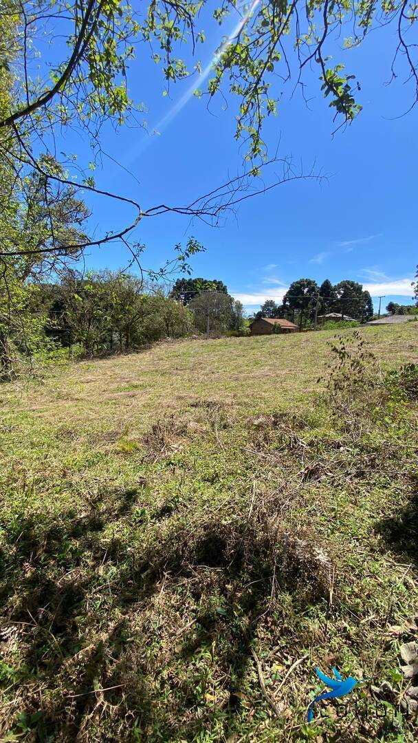 Terreno, 1 hectares - Foto 16