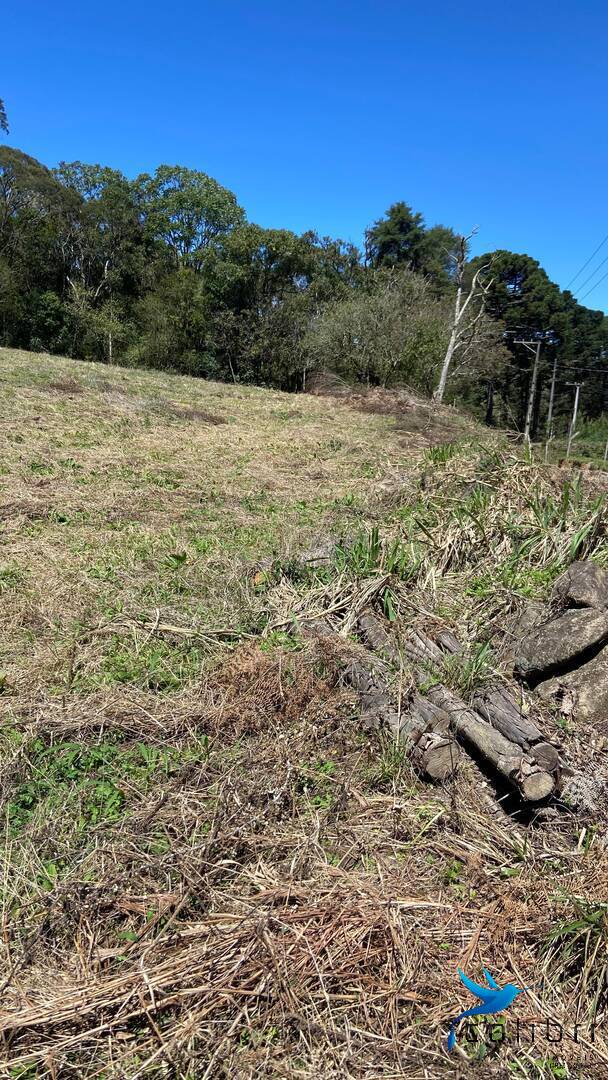 Terreno, 1 hectares - Foto 17