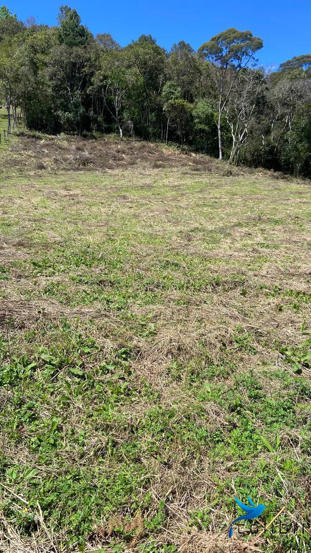 Terreno, 1 hectares - Foto 19