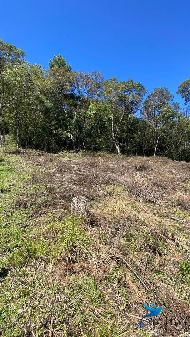 Terreno, 1 hectares - Foto 20