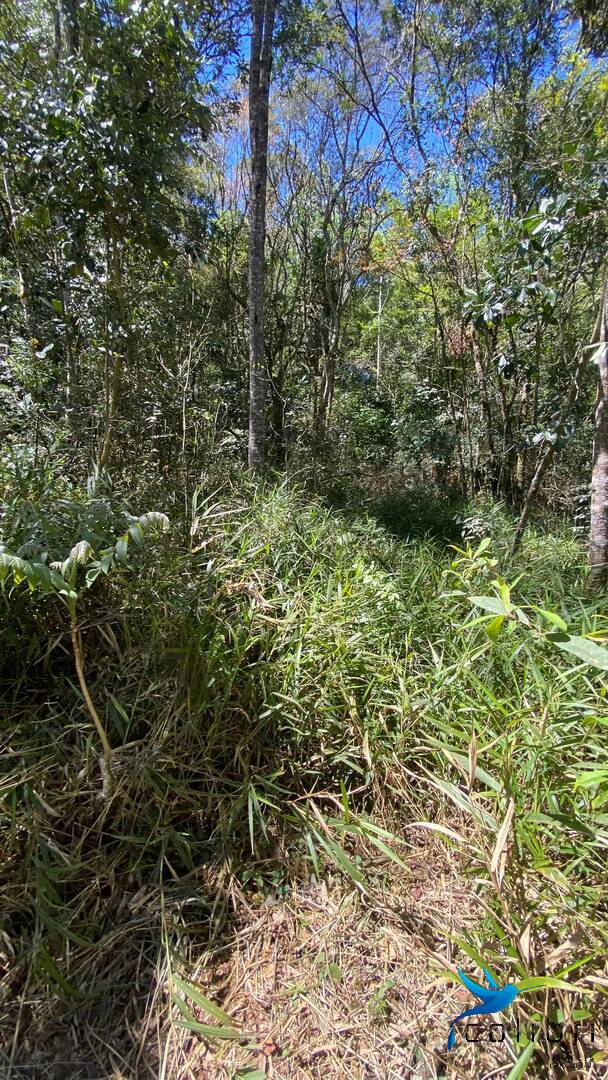 Terreno, 1 hectares - Foto 21