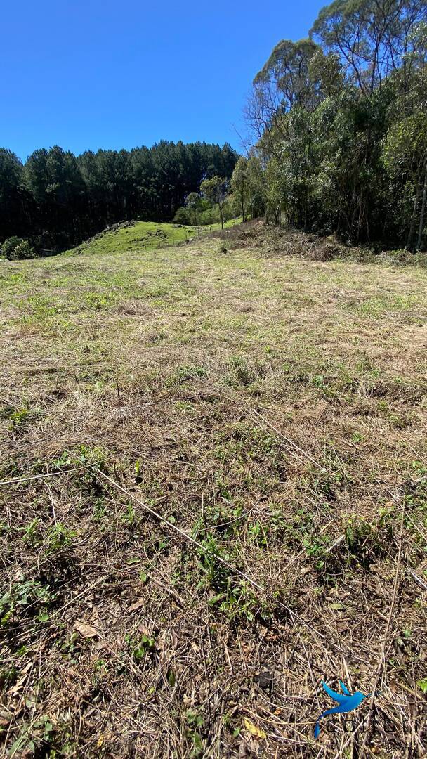 Terreno, 1 hectares - Foto 22