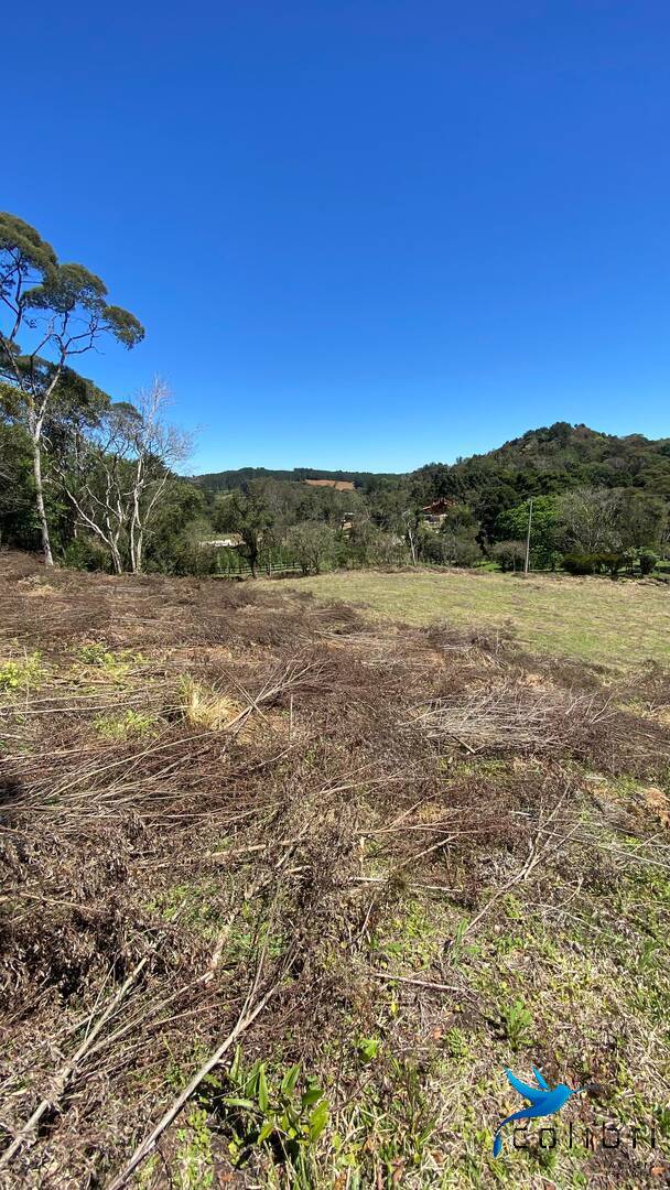 Terreno, 1 hectares - Foto 23