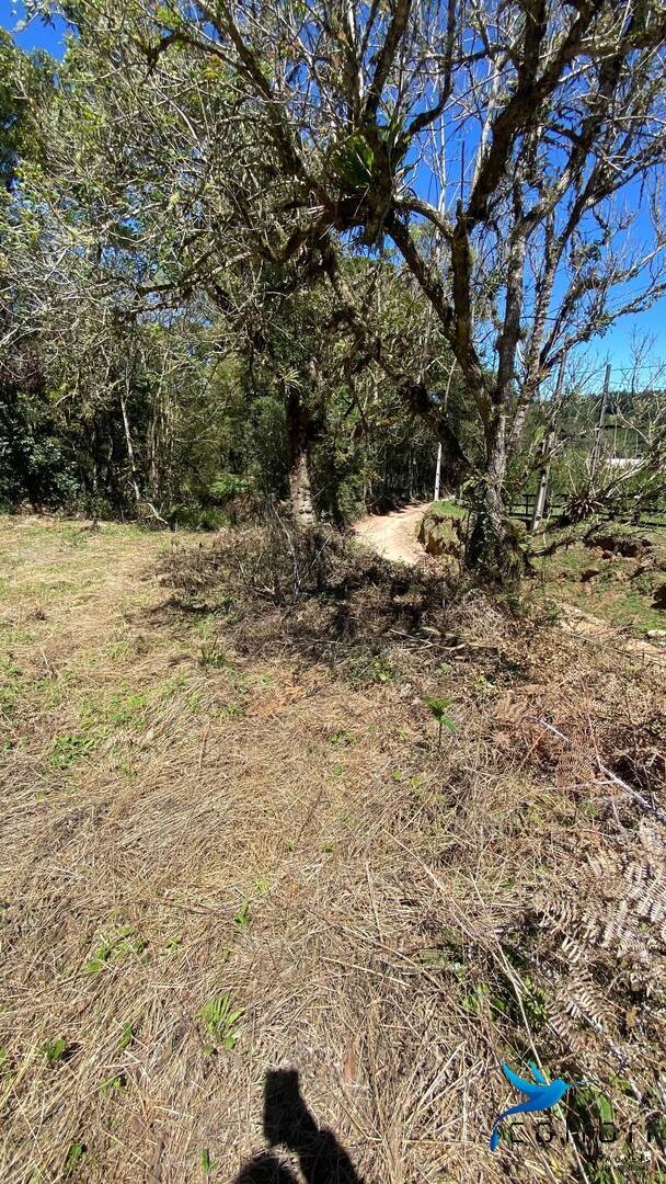 Terreno, 1 hectares - Foto 24