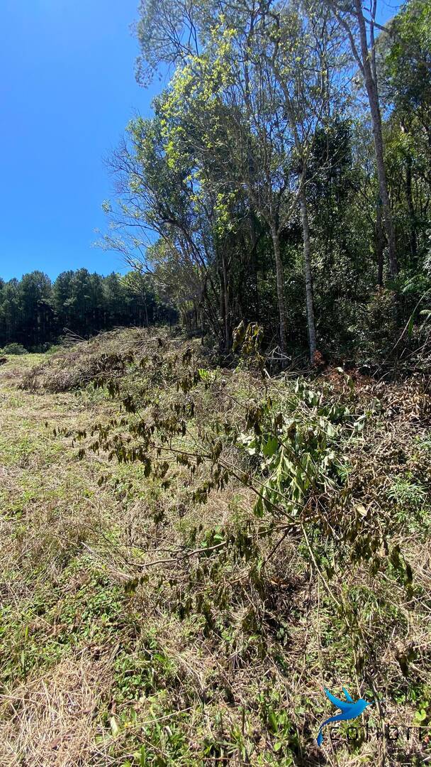 Terreno, 1 hectares - Foto 25