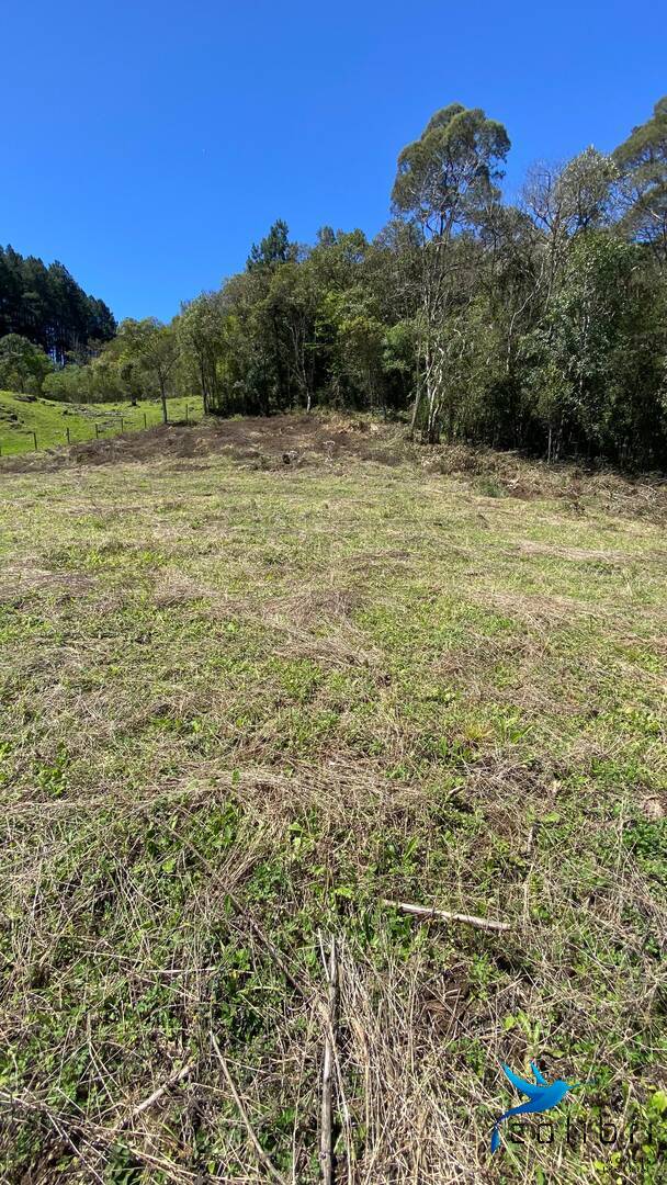 Terreno, 1 hectares - Foto 29