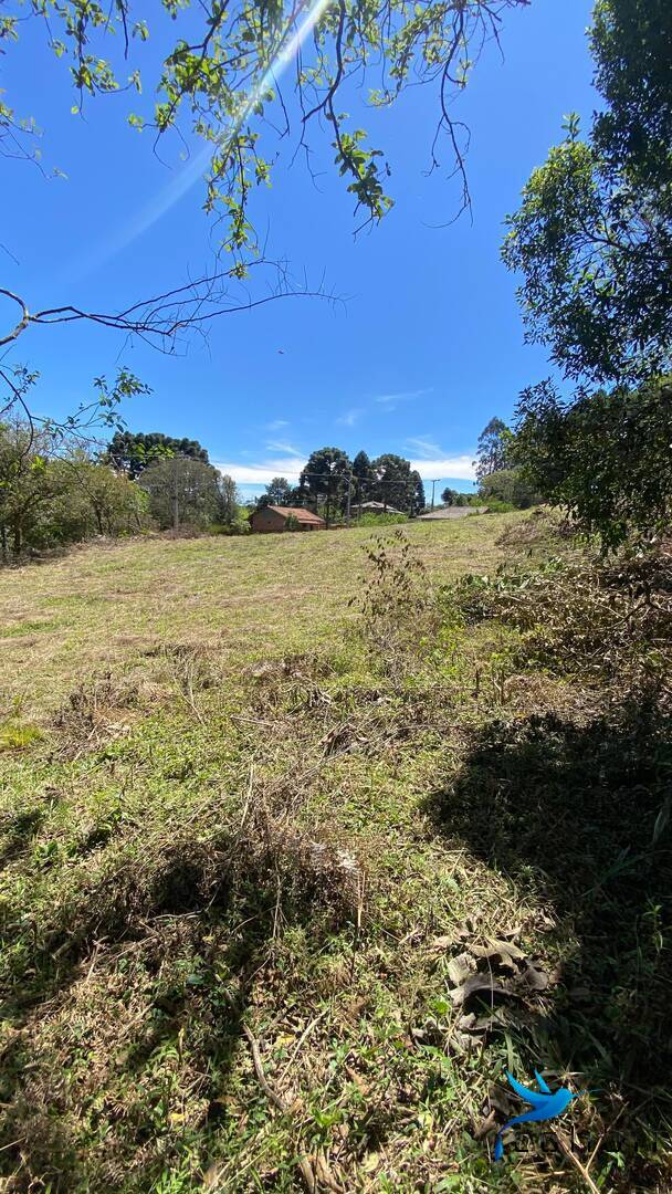 Terreno, 1 hectares - Foto 30