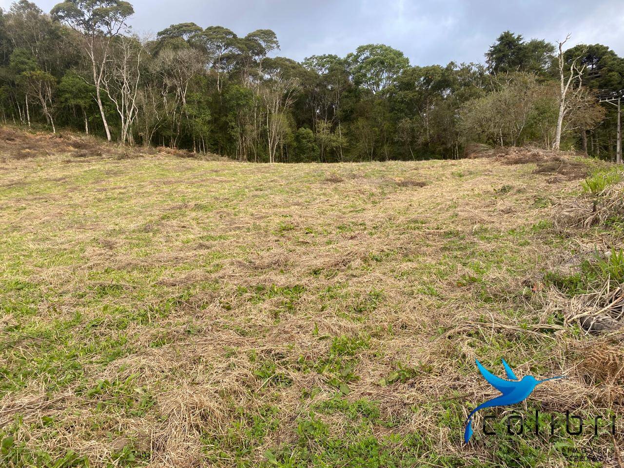 Terreno, 1 hectares - Foto 5