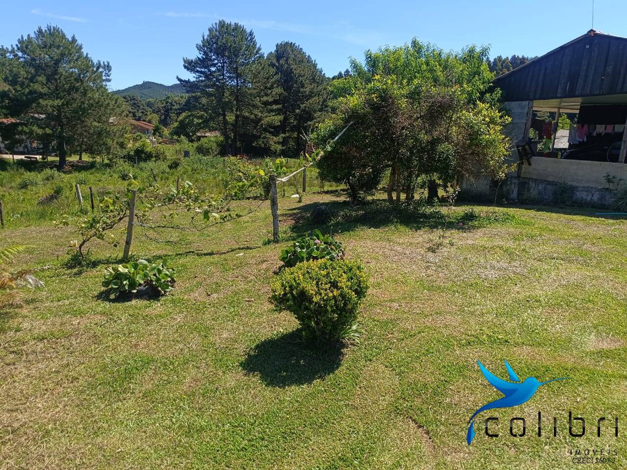 Chácara, 3 quartos, 8470 m² - Foto 4