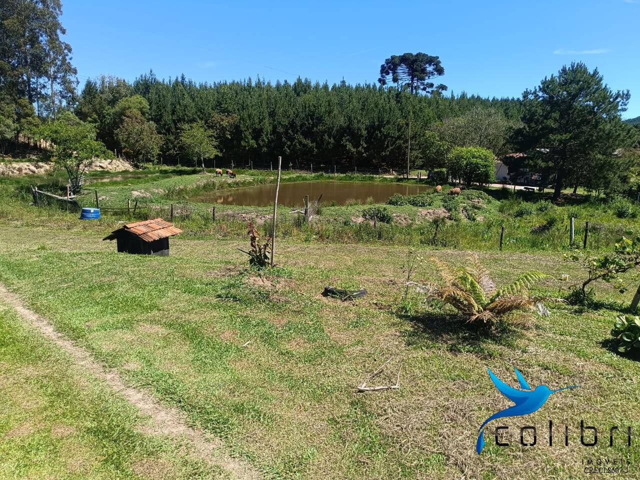 Chácara, 3 quartos, 8470 m² - Foto 5