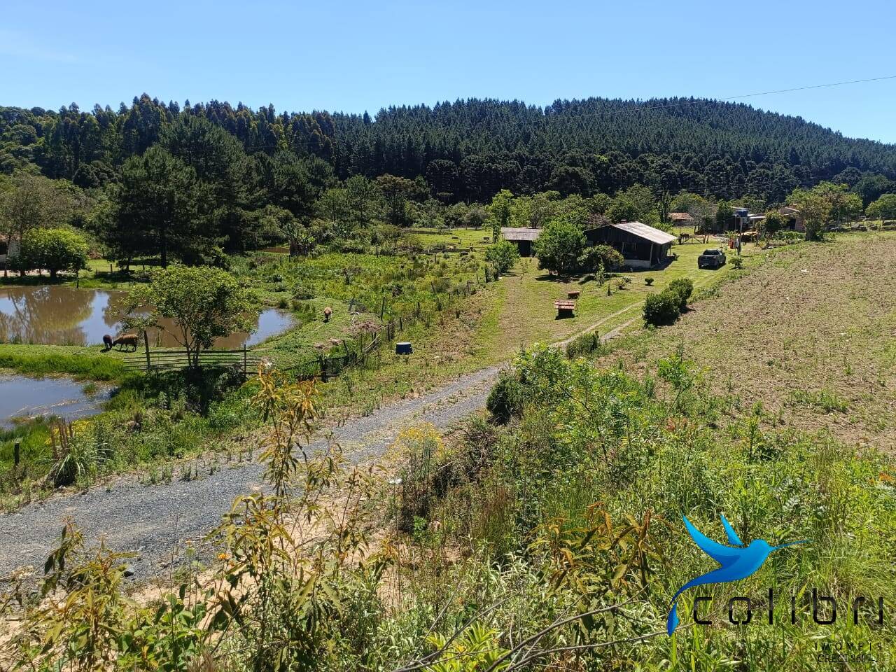 Chácara, 3 quartos, 8470 m² - Foto 7