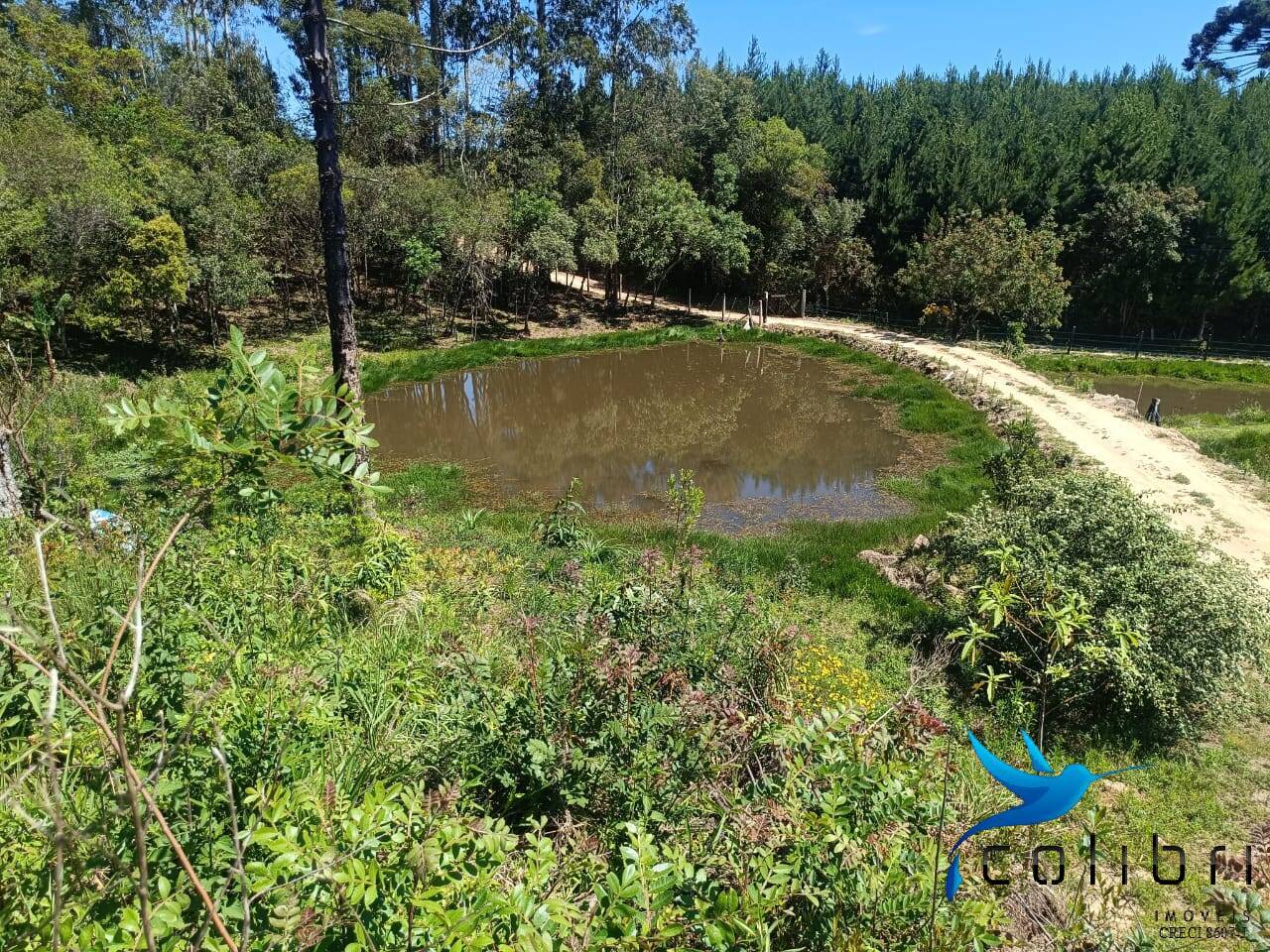 Chácara, 3 quartos, 8470 m² - Foto 8