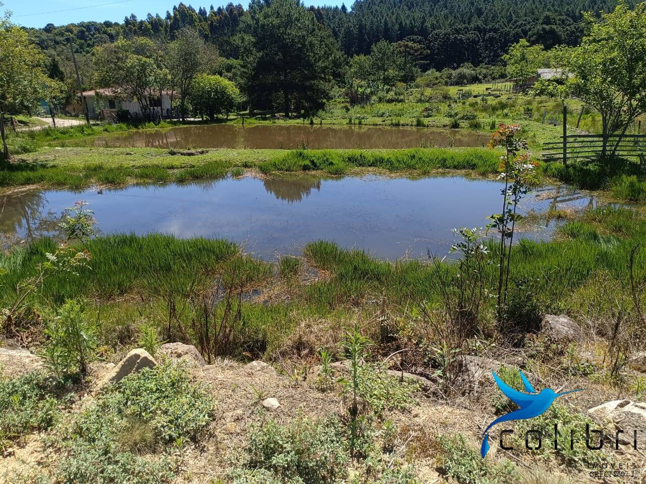 Chácara, 3 quartos, 8470 m² - Foto 11