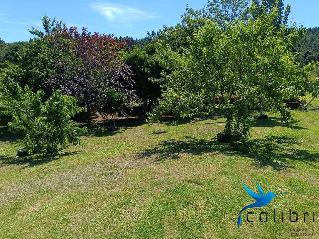 Chácara, 3 quartos, 8470 m² - Foto 12