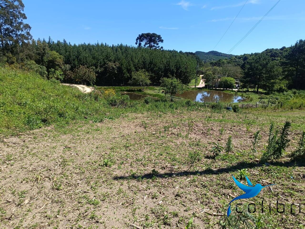 Chácara, 3 quartos, 8470 m² - Foto 14