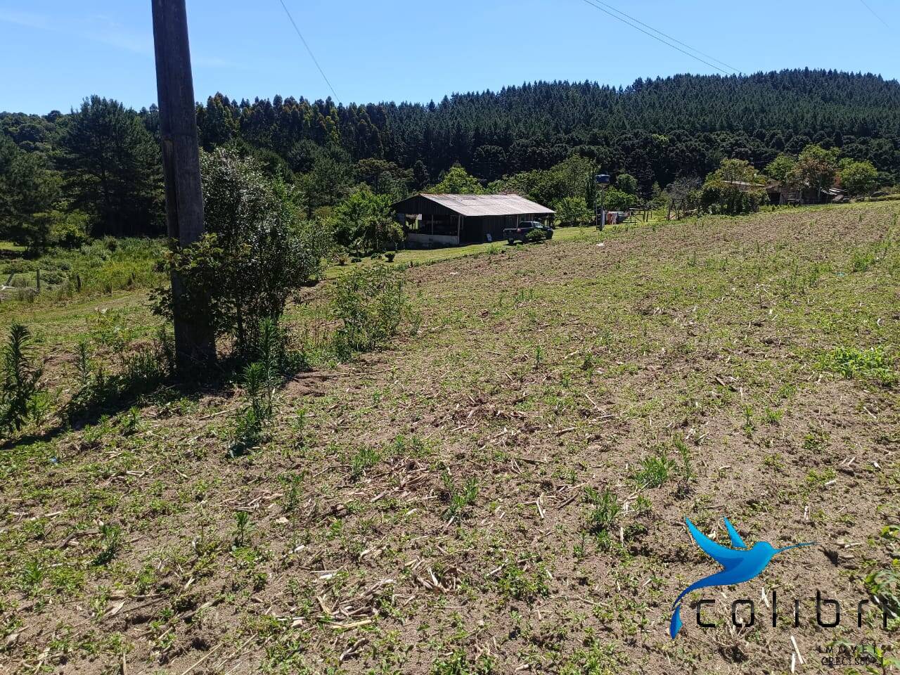 Chácara, 3 quartos, 8470 m² - Foto 15