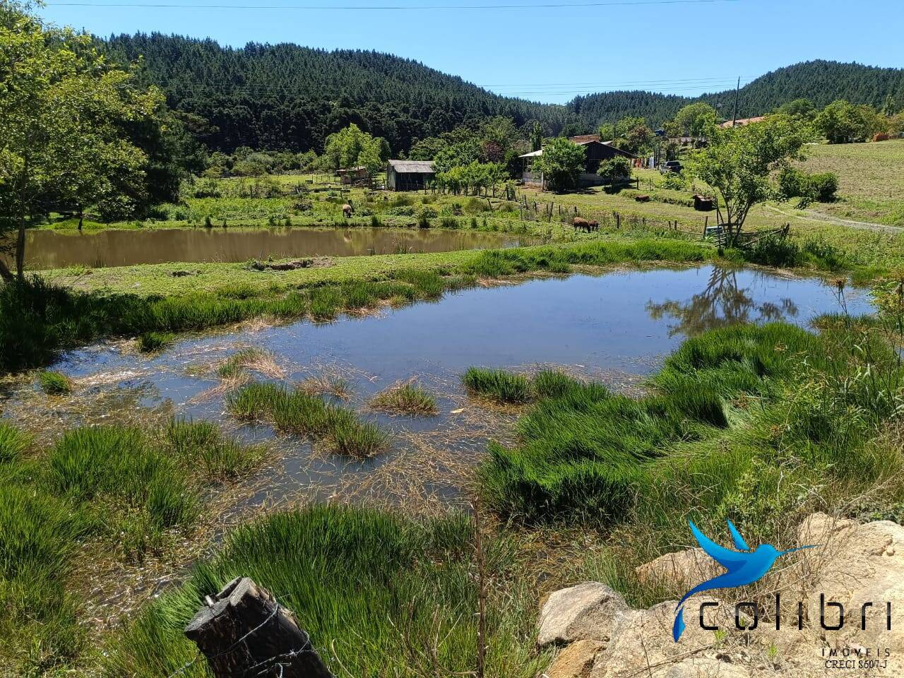 Chácara, 3 quartos, 8470 m² - Foto 18