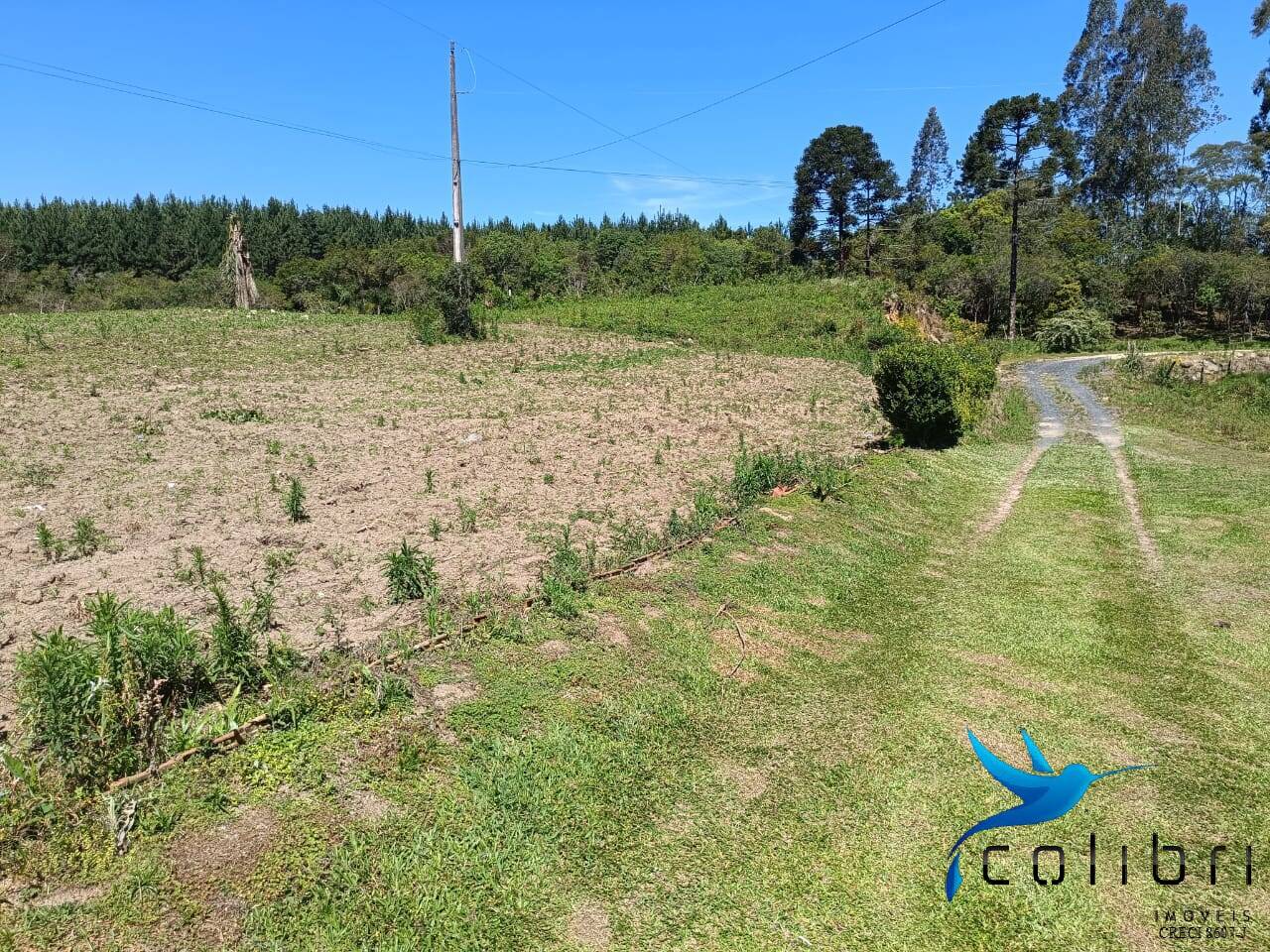 Chácara, 3 quartos, 8470 m² - Foto 22