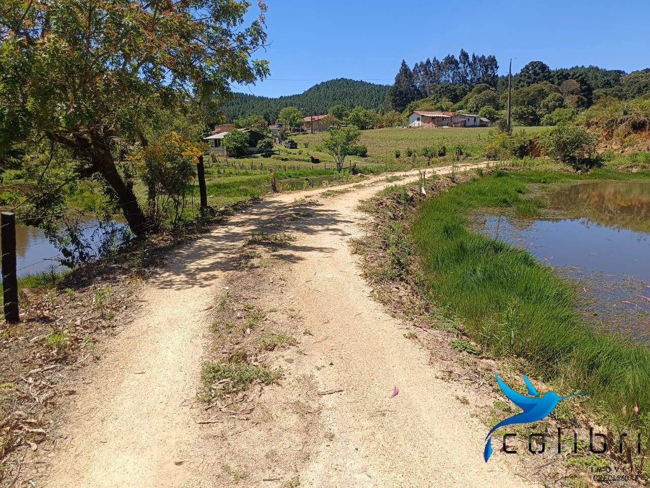 Chácara, 3 quartos, 8470 m² - Foto 21