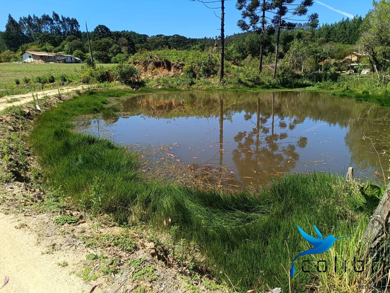 Chácara, 3 quartos, 8470 m² - Foto 20