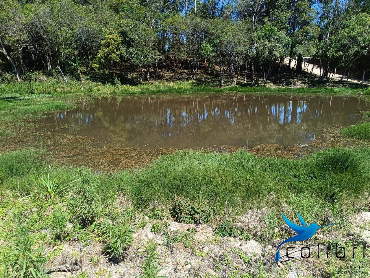 Chácara, 3 quartos, 8470 m² - Foto 23