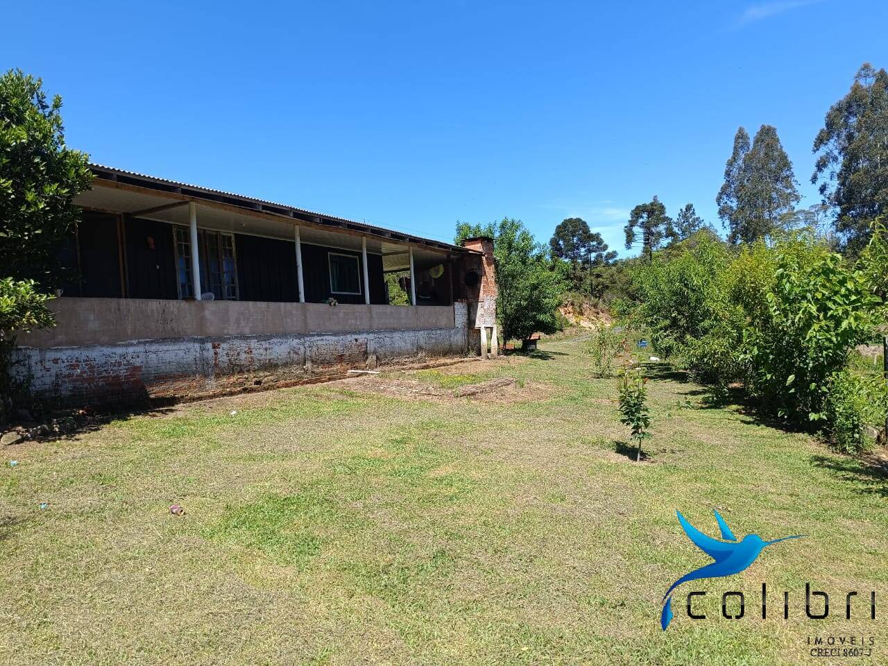 Chácara, 3 quartos, 8470 m² - Foto 3