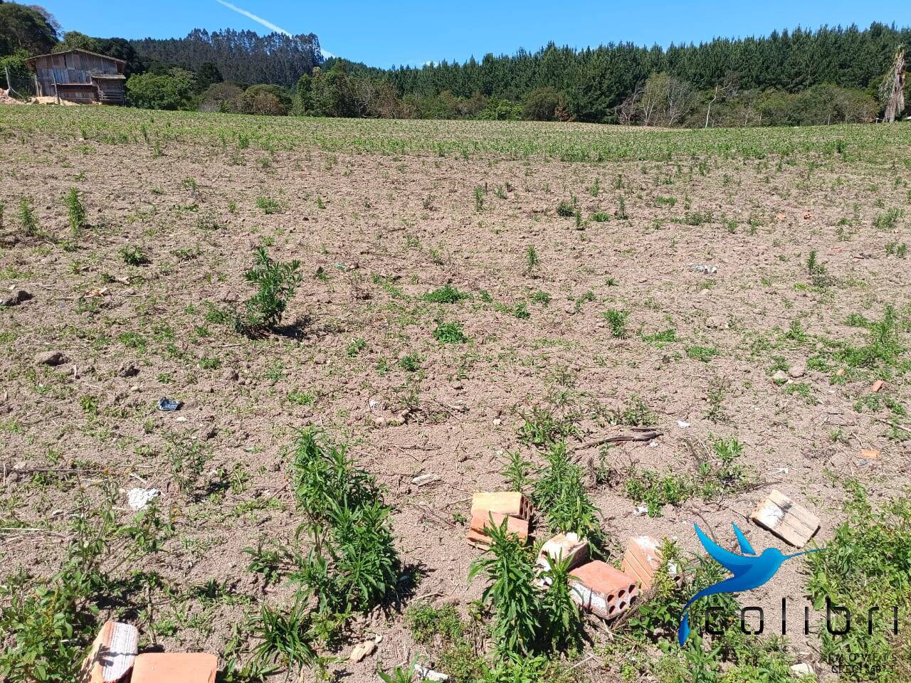 Chácara, 3 quartos, 8470 m² - Foto 25