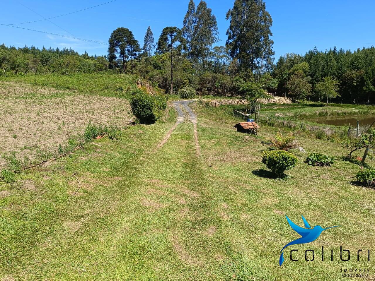 Chácara, 3 quartos, 8470 m² - Foto 27