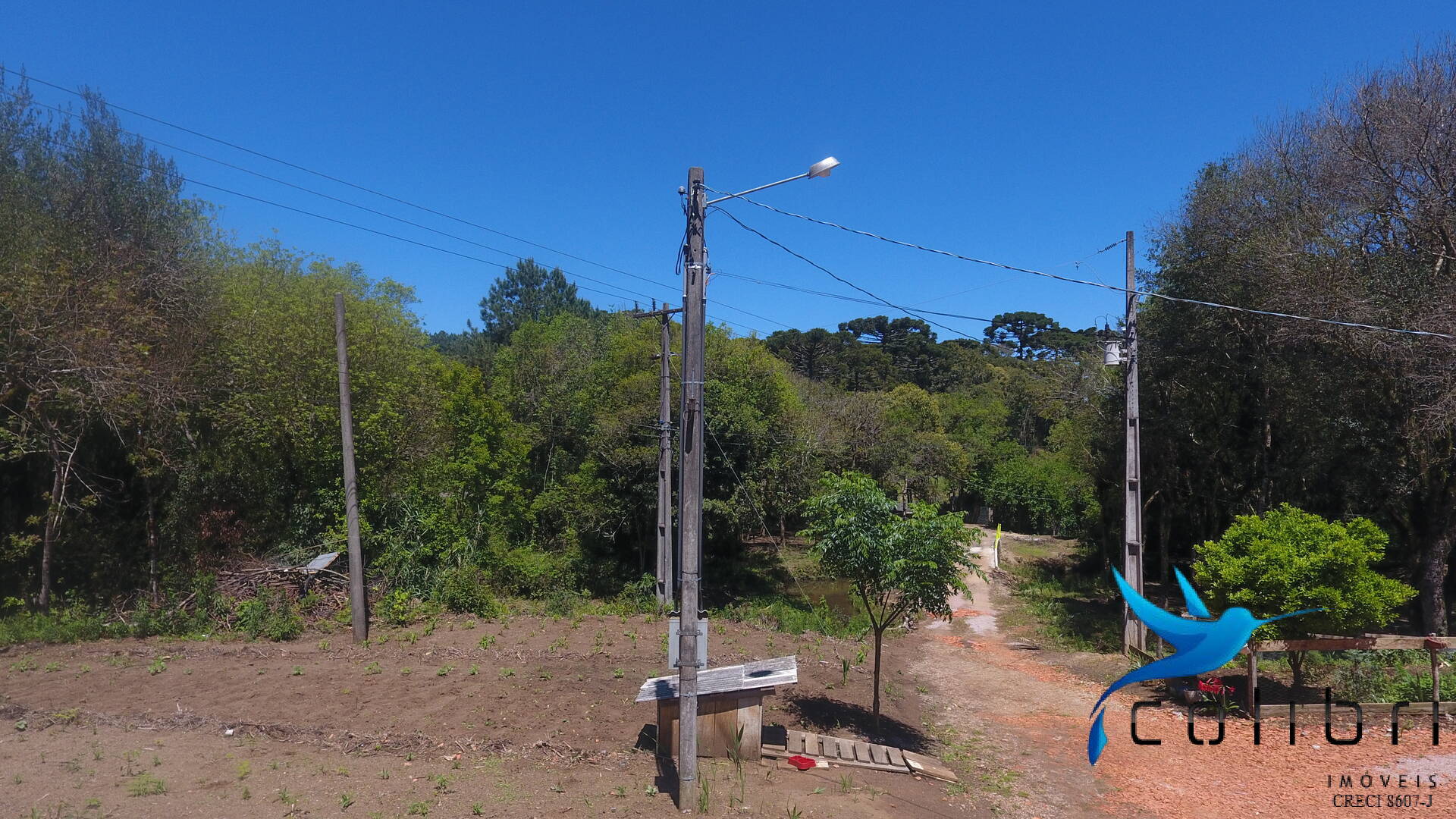 Chácara, 3 quartos, 2 hectares - Foto 5