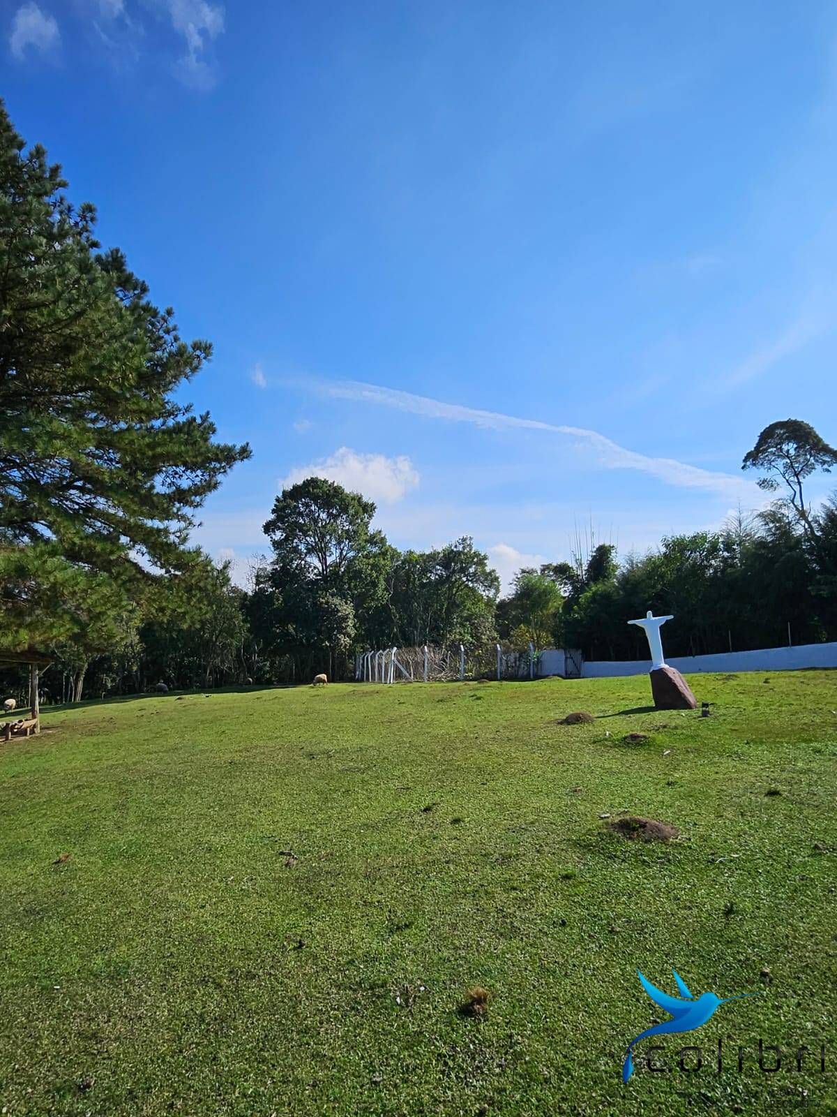 Chácara, 10 quartos, 2 hectares - Foto 7