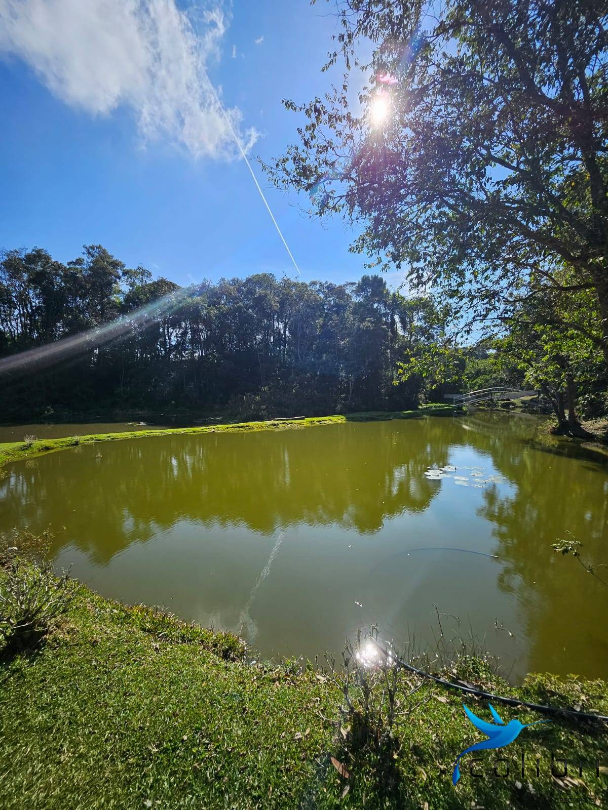Chácara, 10 quartos, 2 hectares - Foto 8