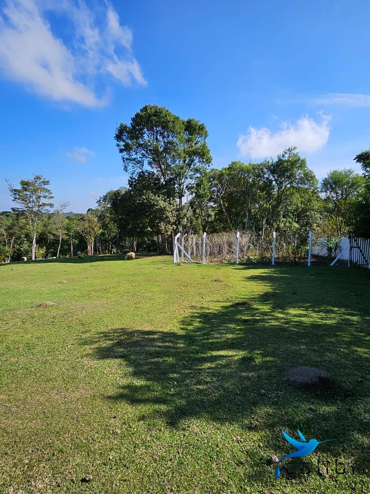 Chácara, 10 quartos, 2 hectares - Foto 9