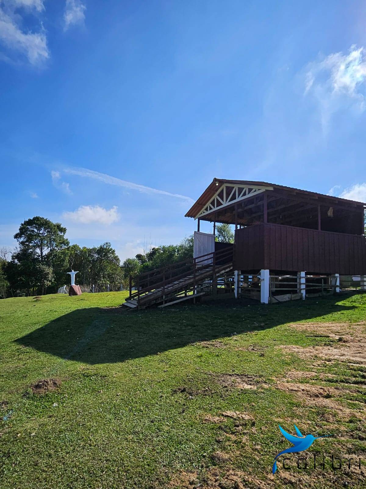 Chácara, 10 quartos, 2 hectares - Foto 10