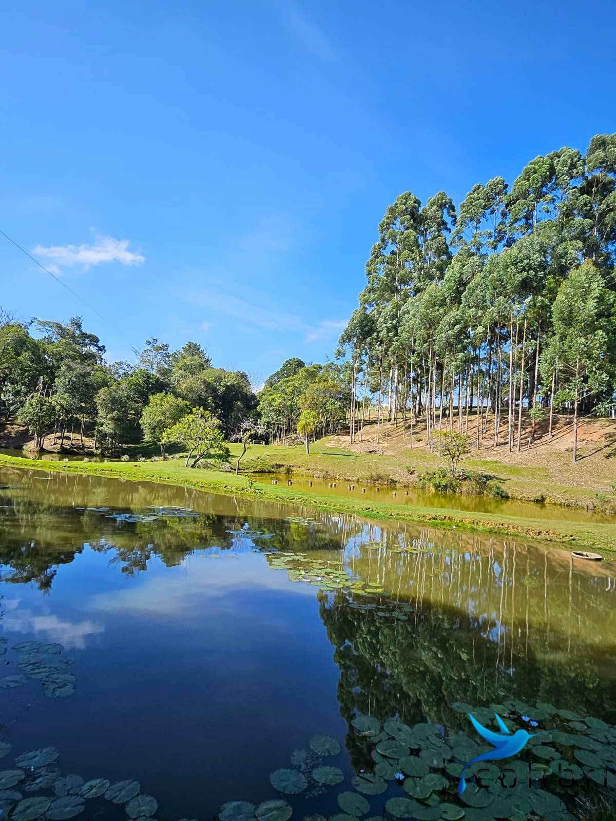 Chácara, 10 quartos, 2 hectares - Foto 14