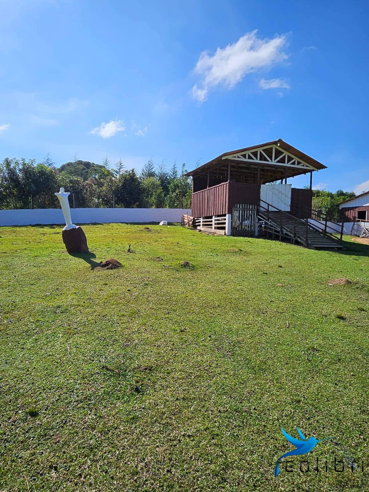 Chácara, 10 quartos, 2 hectares - Foto 12