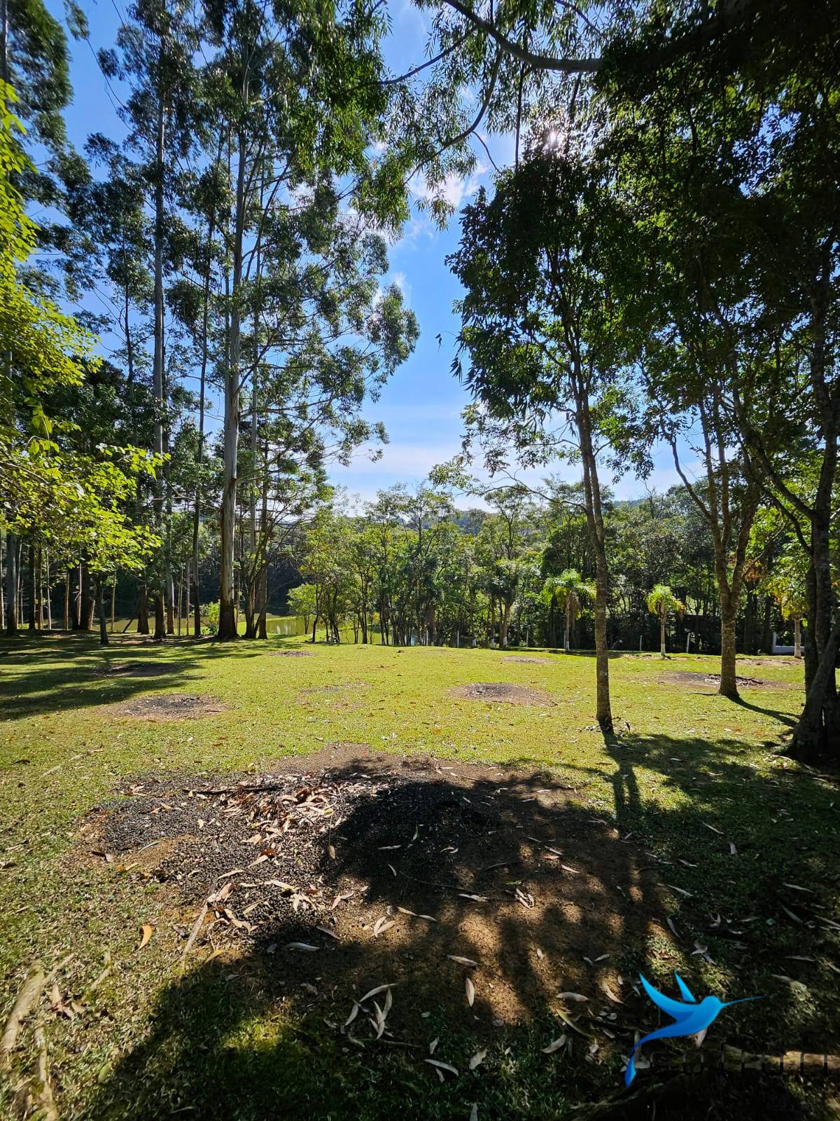 Chácara, 10 quartos, 2 hectares - Foto 16