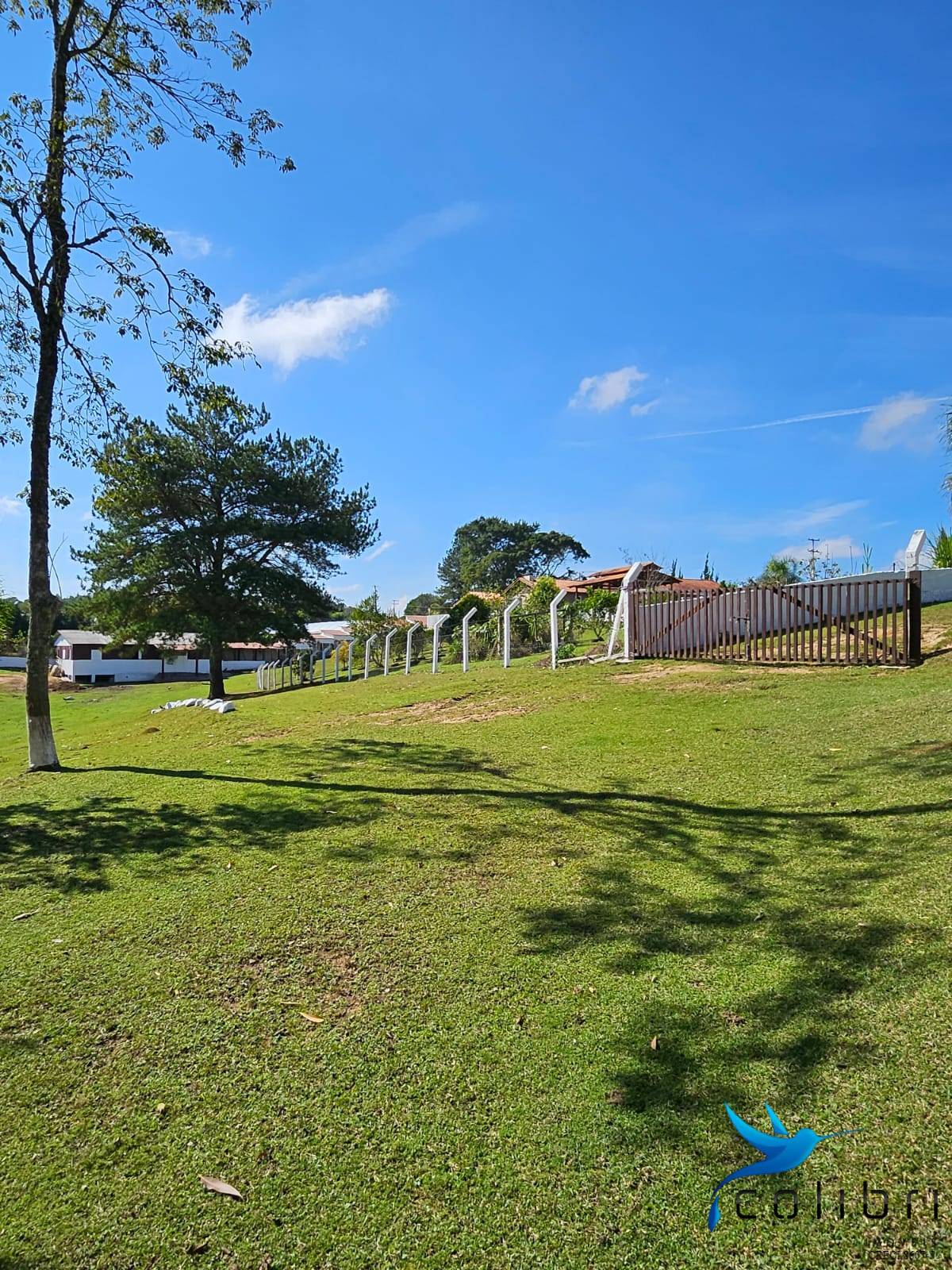 Chácara, 10 quartos, 2 hectares - Foto 19