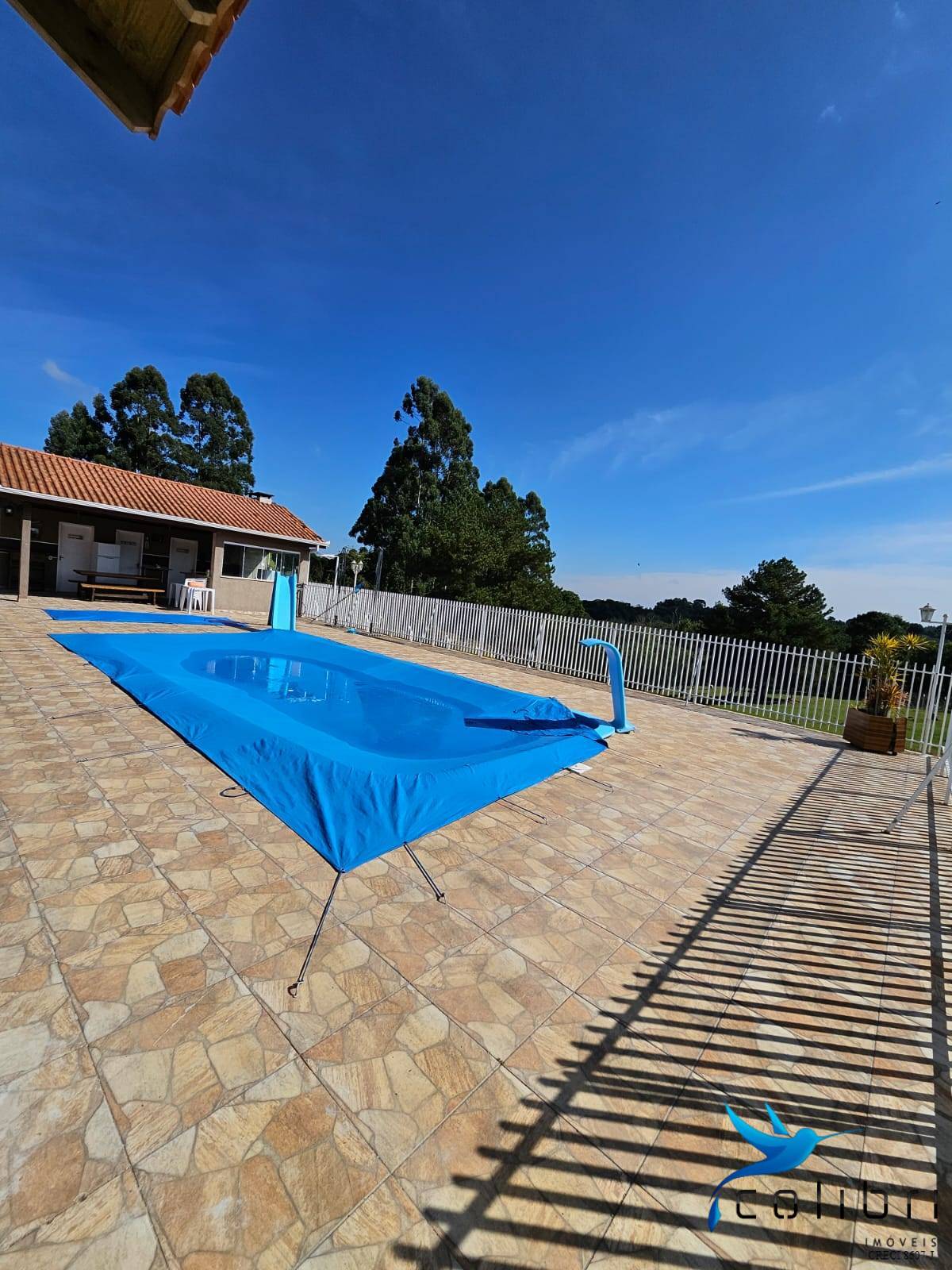 Chácara, 10 quartos, 2 hectares - Foto 4