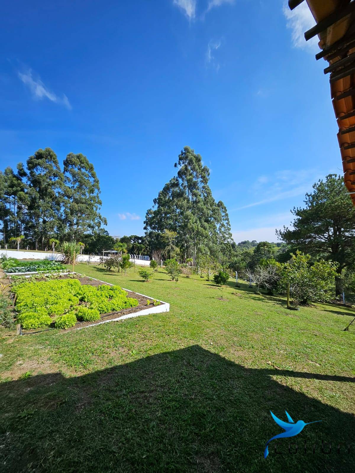 Chácara, 10 quartos, 2 hectares - Foto 20