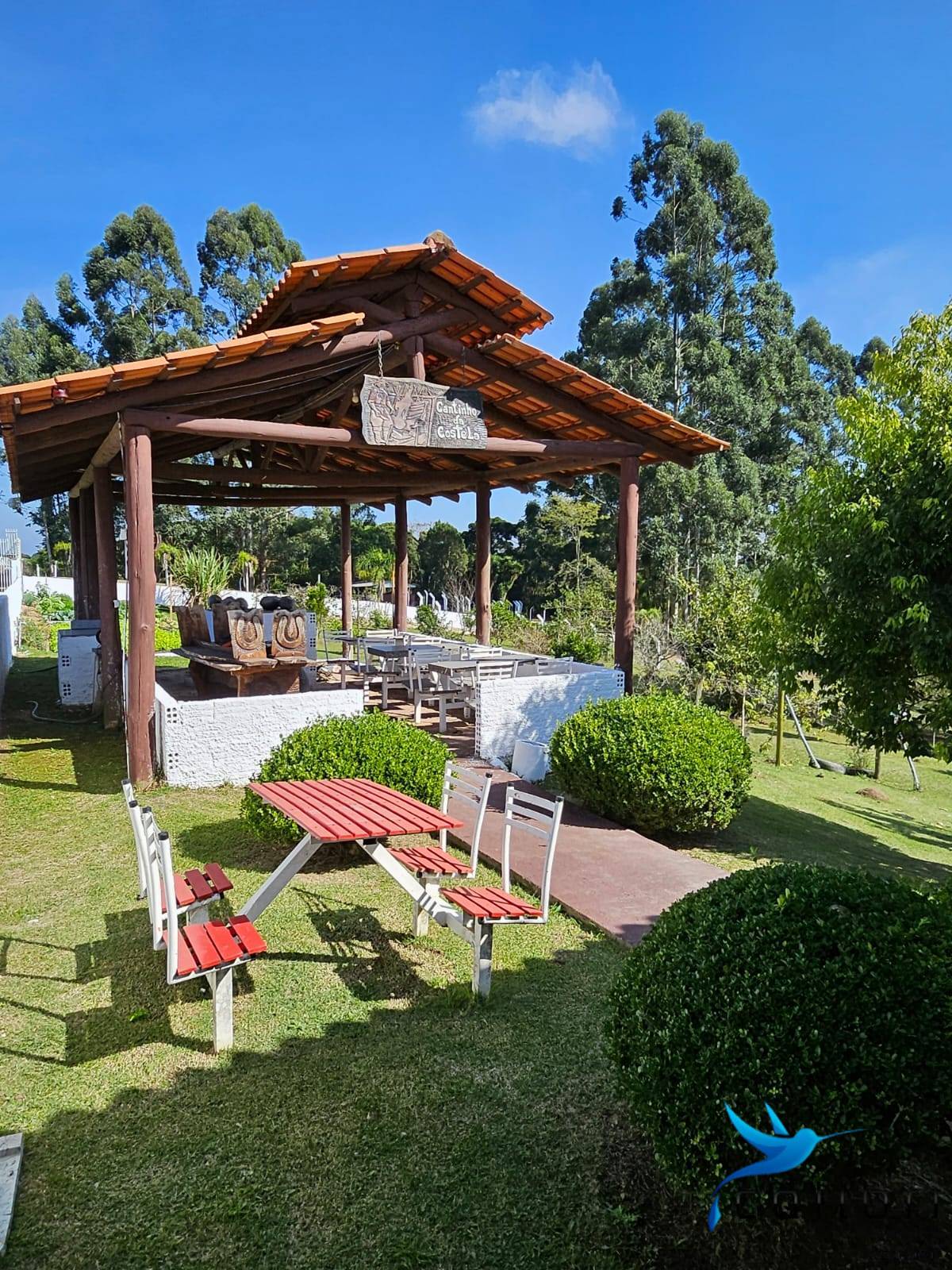 Chácara, 10 quartos, 2 hectares - Foto 5