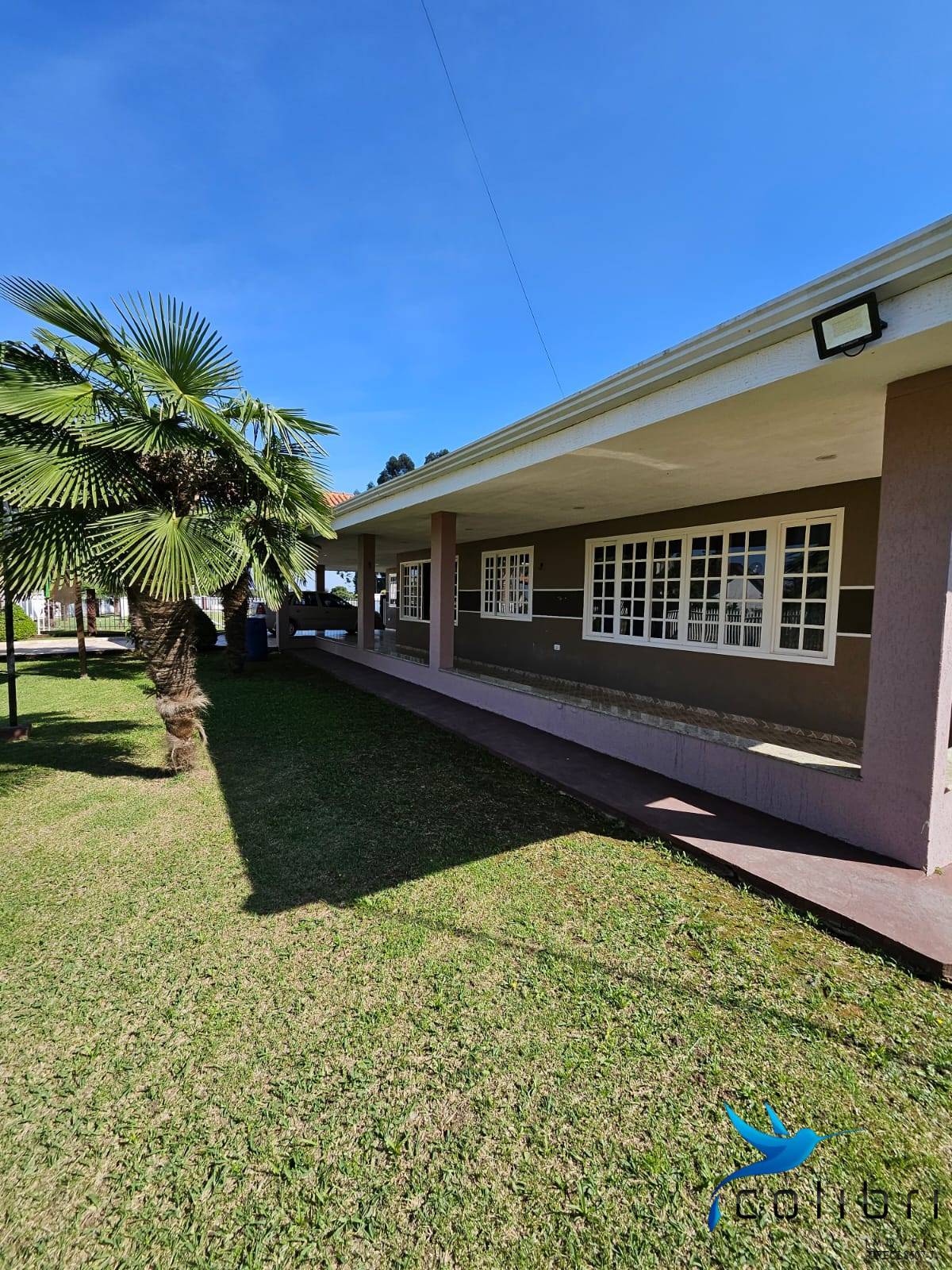 Chácara, 10 quartos, 2 hectares - Foto 3