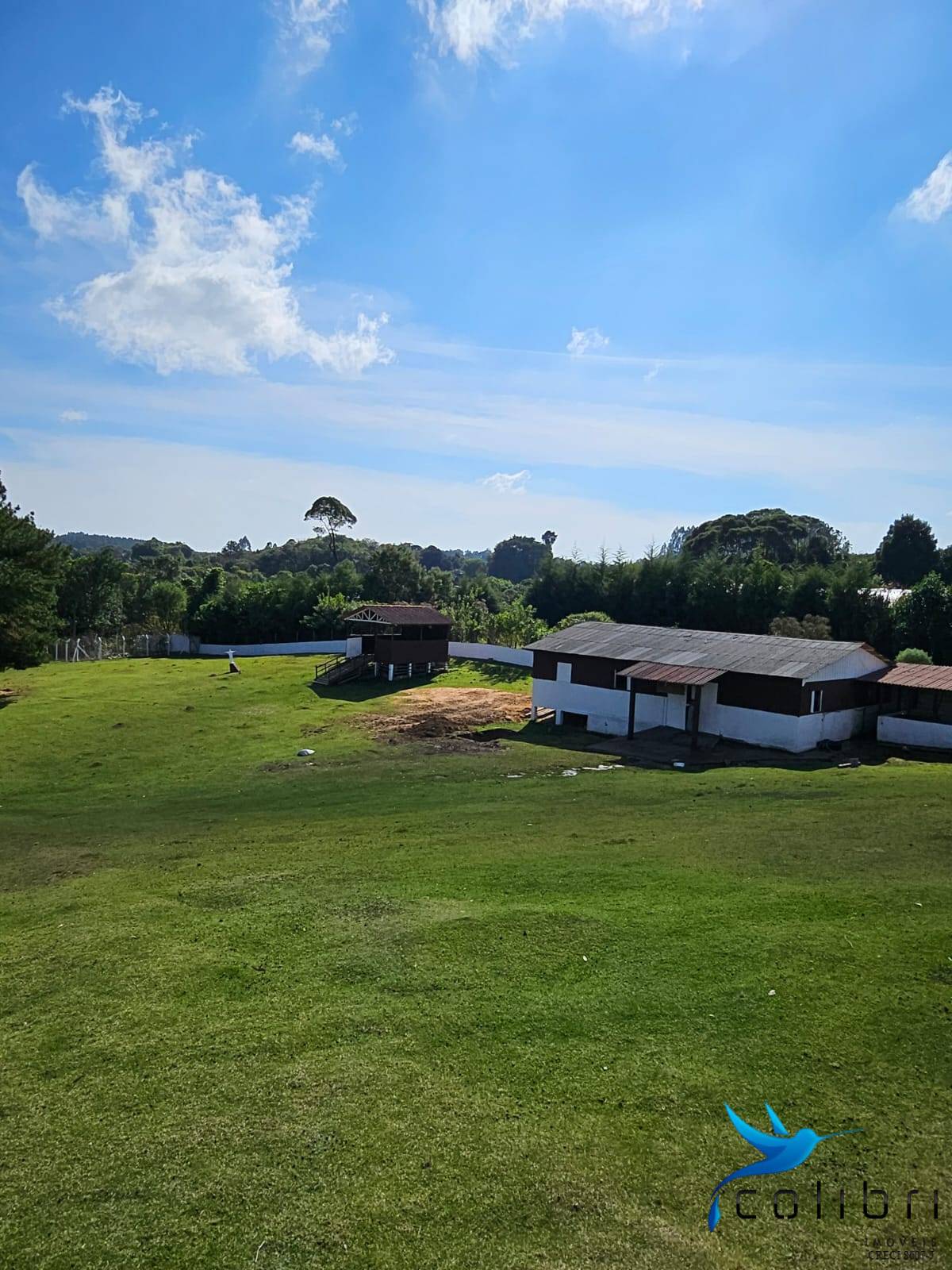 Chácara, 10 quartos, 2 hectares - Foto 22